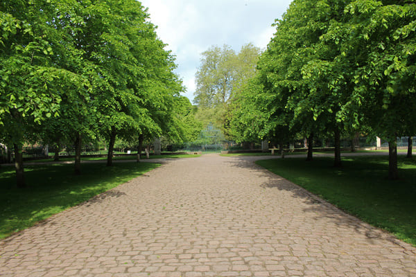 Ruhiger Gehweg in einer Stadt mit Bäumen
